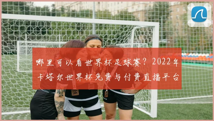 哪里可以看世界杯足球赛？2022年卡塔尔世界杯免费与付费直播平台全攻略
