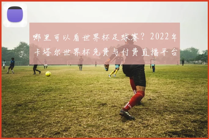 哪里可以看世界杯足球赛？2022年卡塔尔世界杯免费与付费直播平台全攻略